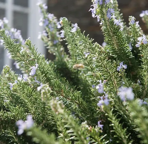 Gerofinikas Boutique