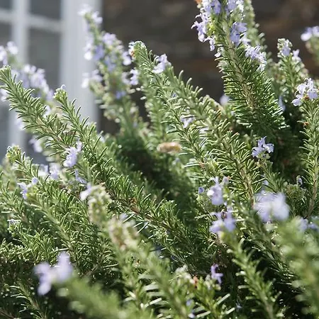 Gerofinikas Boutique